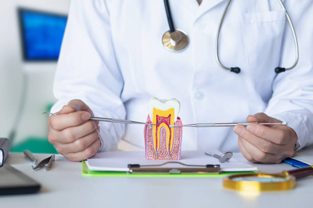 Best Broken or Chipped Tooth Repair in Yorkville, WI